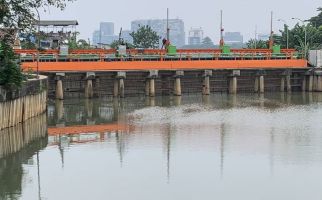 Cegah Banjir Jakarta, Heru Budi Dapat Penugasan Ini dari Kementerian PUPR - JPNN.com