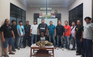 Jual Tulang Belulang Harimau Sumatra, RN Diringkus Polres Inhu - JPNN.com