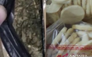 Petugas Kargo Bandara SMB II Palembang Menggagalkan Upaya Penyelundupan 2 Kg Ganja - JPNN.com