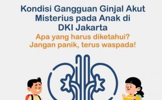 Gagal Ginjal Akut Misterius Pada Anak Terjadi Tanpa Penyakit Penyerta - JPNN.com