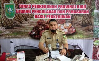 Naik Terus, Sebegini Harga TBS Sawit di Riau Hari Ini - JPNN.com