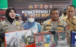 2 Penjual Satwa Dilindungi Owa Jawa Dibekuk Polres Bogor - JPNN.com