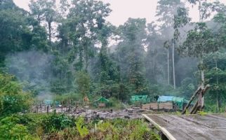 OTK Bakar Kamp Pekerja Tambang, Satu Orang Dibunuh - JPNN.com
