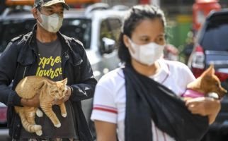 Terduga Pembunuh Kucing Diperiksa Polisi, Ancamannya Cukup Serius - JPNN.com