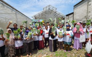 Berkat Program Sedekah Sayur Relawan Ganjar, Omzet Petani Naik 5 Kali Lipat - JPNN.com