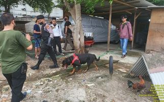 Gerebek Kampung Boncos, Polisi Terjunkan Anjing Pelacak, Ini Hasilnya - JPNN.com