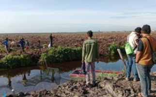 Buaya Muara Muncul di Kanal RAPP, Tim BBKSDA Riau Pasang Perangkap - JPNN.com