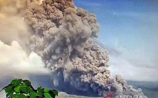 PVMBG Merekam Kejadian Tak Biasa di Gunung Semeru, Warga Wajib Waspada - JPNN.com