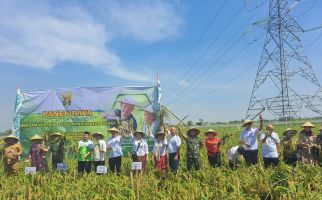 PT PSI, TNI, dan NU Bekerja Sama Dongkrak Produksi Pertanian - JPNN.com