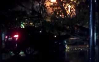 Lihat, Mobil Tertimpa Pohon Tumbang, Bagaimana Nasib Penumpang? - JPNN.com