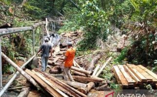 Hutan Gunung Lengkuas Bintan Rusak Parah, Pelaku Pembalakan Liar Belum Ditangkap - JPNN.com