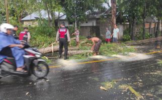 Innalillahi, Seorang IRT Tewas Tertimpa Pohon Ketika Pergi ke Pasar - JPNN.com