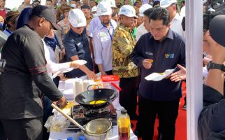 Menteri BUMN Tinjau Progres Pembangunan Pabrik Minyak Makan Merah di Sumut - JPNN.com