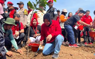 Gelar Program Penghijauan Nasional, Risma Sebut Ajaran Partai Sejalan dengan Agama - JPNN.com