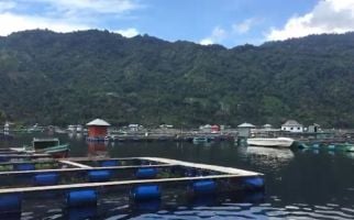 Ratusan Ton Ikan di Danau Ranau Mati Mendadak, Dinas Perikanan Ungkap Penyebabnya - JPNN.com