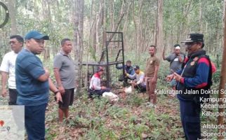 Harimau Muncul di Permukiman, Bupati Siak Minta Warga Meningkatkan Kewaspadaan - JPNN.com