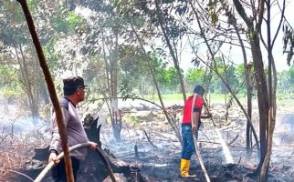 Polisi Mendalami Hasil Investigasi Kebakaran Lahan 5 Hektare di Kubu Raya Kalbar - JPNN.com