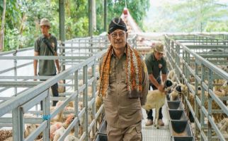 Mentan SYL Dorong Peternak Tingkatkan Produksi Kambing dan Domba, Ternyata Ini Tujuannya - JPNN.com
