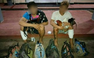 Pencuri Ayam Puluhan Juta Ditangkap, Lihat Tuh Barang Buktinya - JPNN.com