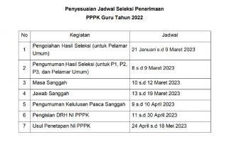 BKN Terbitkan Jadwal Terbaru PPPK Guru 2022, Isi DRH & Usulan NIP Dimulai April - JPNN.com