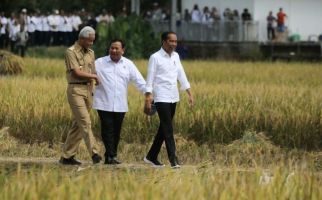 Ketika Tugiman dan Prabowo Panen Raya bersama Jokowi - JPNN.com