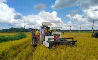 Dinas Ketahanan Pangan Purworejo Pastikan Produktivitas Padi Meningkat - JPNN.com