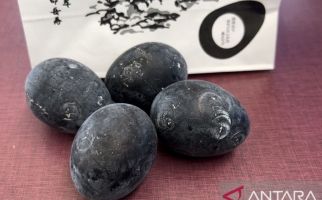 Telur Hitam dari Jepang Ini Diyakini Bisa Bikin Umur Panjang - JPNN.com