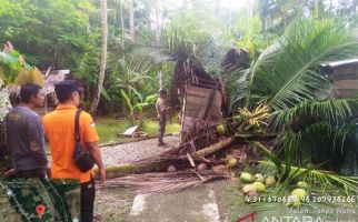 Angin Kencang, 1 Rumah Warga di Aceh Barat Tertimpa Pohon - JPNN.com
