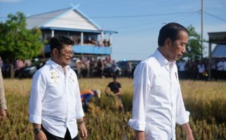 Presiden Jokowi dan Mentan SYL Panen Raya di Maros, Sulsel - JPNN.com