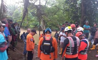 Seorang Anak Diterkam Buaya di Pasaman Barat, Basarnas Bergerak - JPNN.com