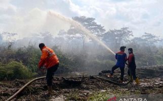 10 Hektare Lahan Perkebunan Kelapa Sawit di Aceh Barat Terbakar - JPNN.com