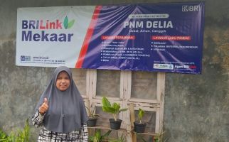 Ketua Mekaar Jadi AgenBRILink, Roeti Mampu Memanfaat Pemberdayaan Holding UMi - JPNN.com