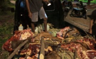 Jaringan Pencurian Sapi dengan Cara Mutilasi Beraksi di Kupang, Polisi Bergerak - JPNN.com