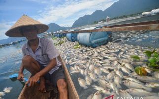 15 Ton Ikan di Danau Maninjau Mati, Ini Penyebabnya - JPNN.com