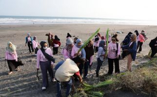 Bergerak ke Bantul, Srikandi Ganjar DIY Tanam Pandan Laut & Bersih-Bersih Pantai - JPNN.com