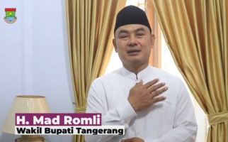 Wow, Kekayaan Wakil Bupati Tangerang dalam Setahun Rp 40 Miliar - JPNN.com