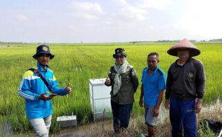 Terapkan Program CSA untuk Hadapi El Nino, Petani Banyuasin Lakukan Pengukuran GRK - JPNN.com