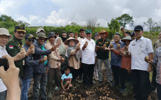 Jelang Iduladha, Kementan Pastikan Produksi Sayuran Asal Kabupaten Solok Aman - JPNN.com