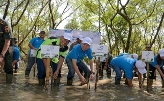 Asuransi Astra Tanam 5.000 Bibit Mangrove di Surabaya - JPNN.com