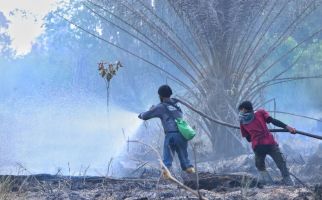 Cagar Biosfer di Riau yang Diakui UNESCO Sengaja Dibakar, BBKSDA Geram - JPNN.com