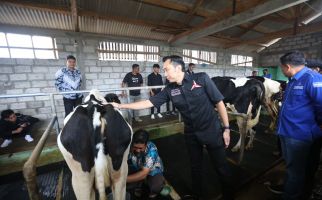 Ibas Bantu Pengembangan UMKM Wisata Kampung Susu Lawu - JPNN.com