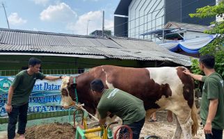 Ahmad Sahroni Center Bagikan 22,5 Ton Daging Kurban di Jakut dan Jakbar - JPNN.com