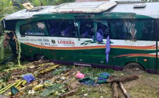 Bus Lorena Kecelakaan di Jalintim, 2 Penumpang Tewas - JPNN.com
