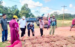 Dirjen Hortikultura Ungkap Faktor Utama Peningkatan Produksi Bawang Merah di Sumbawa - JPNN.com