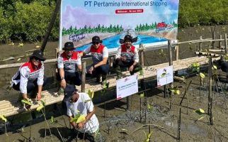 Pertamina International Shipping Tanam 10 Ribu Mangrove - JPNN.com