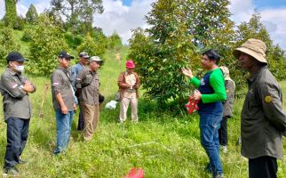 Ditjen Hortikultura Bersama IPB Bogor Ukur Kemampuan Durian Menyerap Stok Karbon - JPNN.com