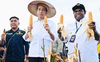 Billy Beber Perhatian dan Visi Besar Jokowi dalam 17 Kali Kunjungan ke Papua - JPNN.com