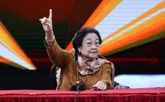 Bicara Soal Tengkes, Megawati Memberikan Tantangan ke BKKBN - JPNN.com