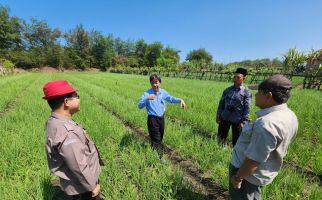 Kementan Terapkan Aplikasi Teknologi Hemat Air di Lahan Berpasir untuk Hadapi El Nino - JPNN.com