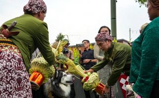 Pernikahan Anjing, Antara Kepekaan Sosial dan Konten Medsos - JPNN.com